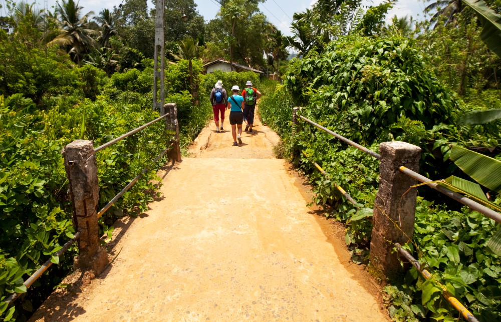 The pekoe trail